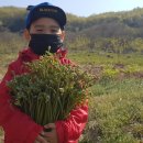 공주밤안양농원