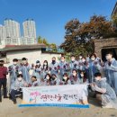 기빙트리 이미지