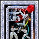 연세대석사태권짱 이미지