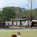 더라인(양평) | 애견동반 양평 솔뜰 캠핑장 애견뜰 장박 후기 및 예약방법 전체구역 둘러보기