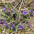 송도 달빛공원 이미지