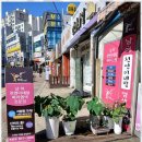 태후사랑 이미지