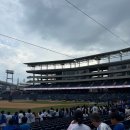 오동동121 | [공지] 240816-17 삼성vsNC, 창원NC파크 원정응원석 직관 후기