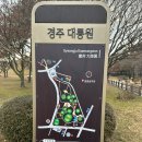 황남쫀드기대릉원점 | [경주여행] 경주 황리단길 경주 대릉원 천마총 포토존 황남 쫀드기 후기