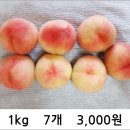 근호농장 네이버블로그