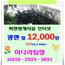 에스케이씨엔앰 네이버블로그