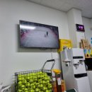 박지호 실내테니스아카데미 이미지