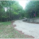 기룡산 등산로2 이미지