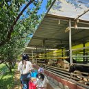 한우좋은농장 이미지