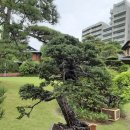 부촌마트 이미지