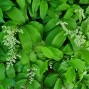 주천농장 이미지