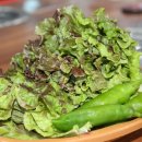 명품생고기무한리필 소사직영점 이미지