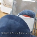 딥