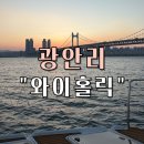 해원초교 | 부산 광안리 요트투어 “와이 홀릭” 방문 후기 (일몰 후기, 야경 투어, 당일 예약 가능)