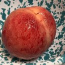 홍은농원 | 8월 여름의 맛, 나의 복숭아 일기3,(유여사네복숭아,정안농원, 대홍, 마도카)