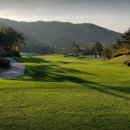 파인비치A 이미지