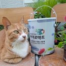 ㈜석영환경 | 강아지,고양이냄새제거하는 바이로텍트 항균페인트로 셀프 코팅해보세요