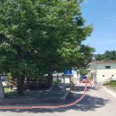 시장1구 이미지