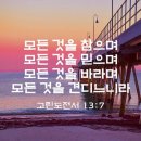 시작 티스토리