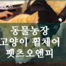 오앤피 이미지