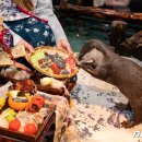 롯데월드아쿠아리움 이미지