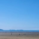 몽산포오션캠핑장 이미지