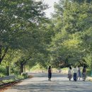 너른초원 이미지