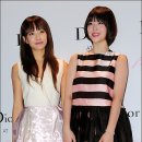 빅토리아 이미지