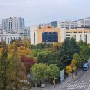 오조산공원로 이미지