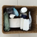 제주애단비 마주 이미지