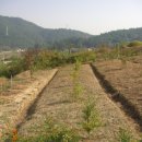 사곡농장 이미지