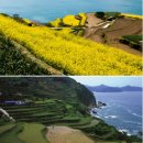 남해-269 이미지