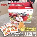 무농약 명품 사과즙 효능 추천: 당도높은 ‘호영농원 사과즙’ 솔직후기