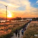 하늘공원