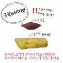 다온계절맛집 이미지