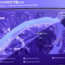 도동서원 은행나무 단풍(2024.11.20) 이미지