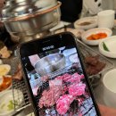 제주갈비 - 시흥시 수인로3395번길 26 | 제주갈비