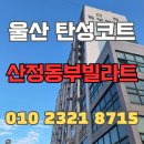빌라트B | 울산 탄성코트 산정동부빌라트 베란다 누수 흔적 오염 보수 후 시공