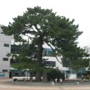 해남군청 이미지