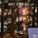 무이림5 | 태안 오션뷰 숙소 무이림 단지 내부·외부 산책로 및 조식 내돈내산 후기