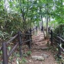 지경터 | 산행후기_mr.j 88 순천 조계산 연산봉, 장군봉 5
