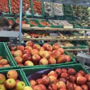 엄마손민박 | 6살 아이랑 유럽 스위스여행 5일차 6일차 휴식 그리고 그린델발트에서 프랑스 파리로 이동