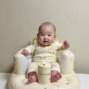 연소프트 | 아띠래빗 소프트 범보의자 내돈내산 후기｜셀프 촬영용 가성비 범보의자