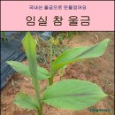 임실참울금 진성농장 이미지
