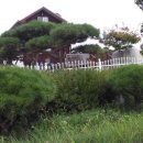 성상1리 이미지