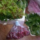 하농농장 이미지