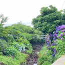 동광리-7 이미지