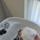 세교한의원 | 동네 단골 미용실 컷트 펌 잘하는 4공구미용실 추천 펌으로 인한 손상 크리닉 후기 케렌시아 아산배방점