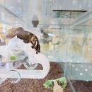 (유)익산 엑스마트 | [익산 아이와 가볼만한 곳-아이캣유 고양이카페]