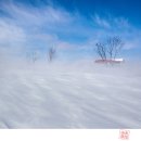 설국 - 서초구 서초중앙로24길 3 | 설국